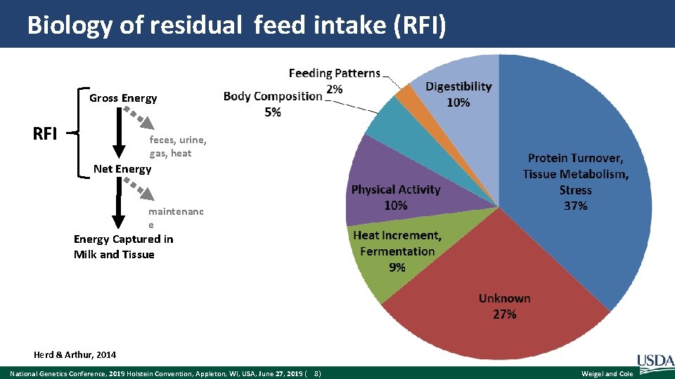 Biology of residual feed intake (RFI) Gross Energy RFI feces, urine, gas, heat Net