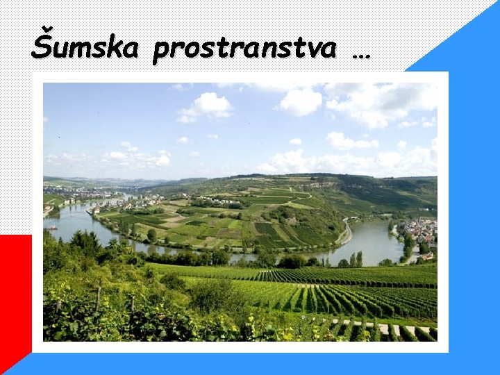 Šumska prostranstva … 