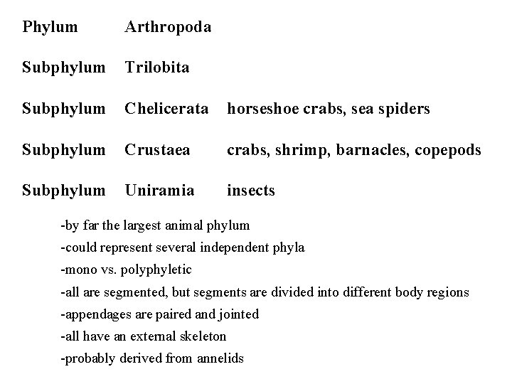 Phylum Arthropoda Subphylum Trilobita Subphylum Chelicerata horseshoe crabs, sea spiders Subphylum Crustaea crabs, shrimp,