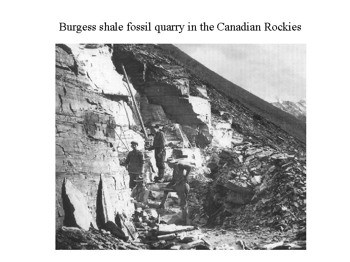 Burgess shale fossil quarry in the Canadian Rockies 