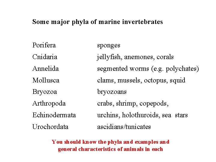 Some major phyla of marine invertebrates Porifera sponges Cnidaria jellyfish, anemones, corals Annelida segmented
