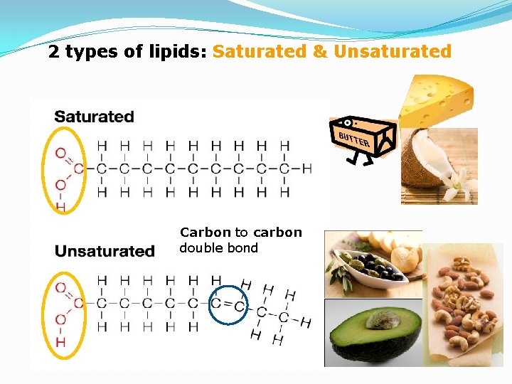 2 types of lipids: Saturated & Unsaturated Carbon to carbon double bond 
