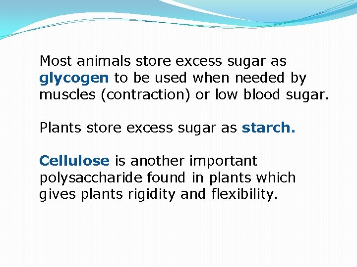 Most animals store excess sugar as glycogen to be used when needed by muscles