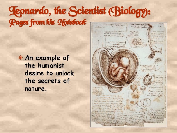 Leonardo, the Scientist (Biology): Pages from his Notebook An example of the humanist desire
