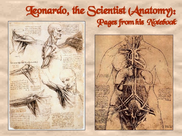 Leonardo, the Scientist (Anatomy): Pages from his Notebook 