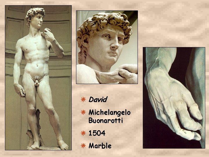  David Michelangelo Buonarotti 1504 Marble 