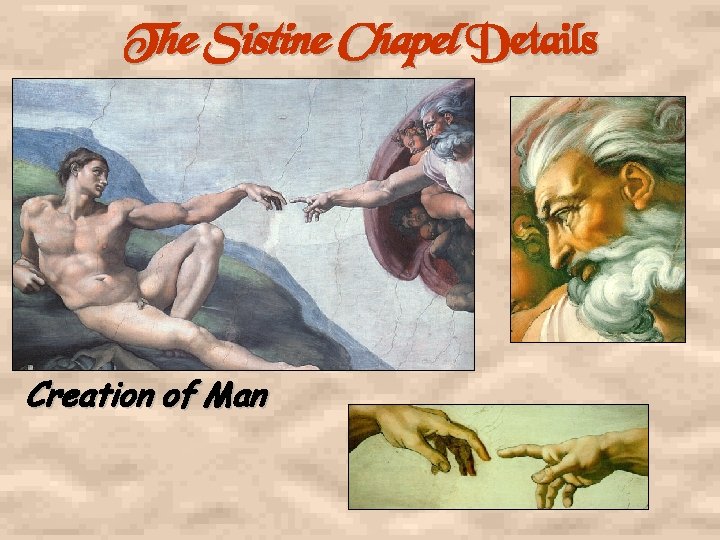 The Sistine Chapel Details Creation of Man 