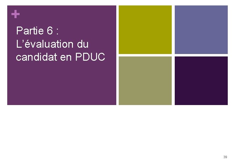 + Partie 6 : L’évaluation du candidat en PDUC 39 