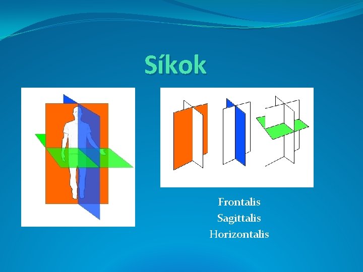 Síkok Frontalis Sagittalis Horizontalis 
