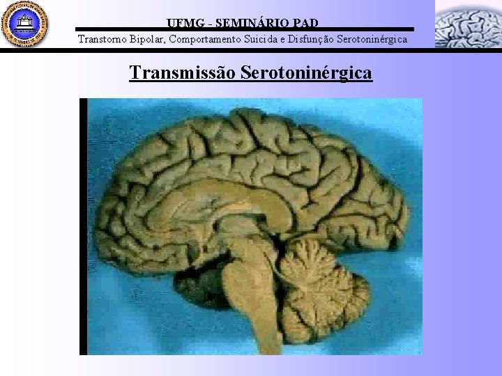 UFMG - SEMINÁRIO PAD Transtorno Bipolar, Comportamento Suicida e Disfunção Serotoninérgica Transmissão Serotoninérgica 