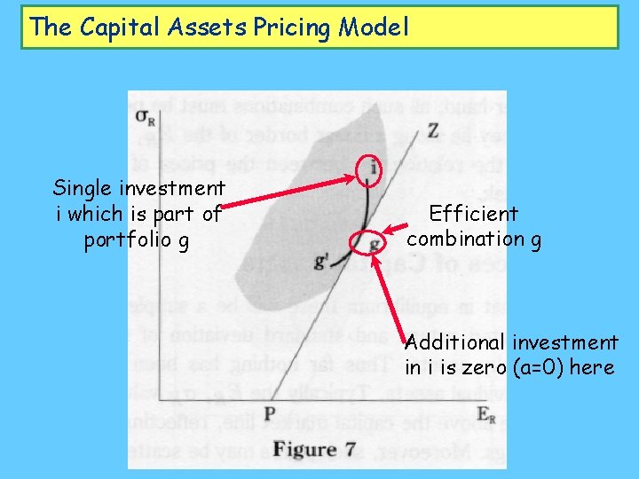The Capital Assets Pricing Model Single investment i which is part of portfolio g