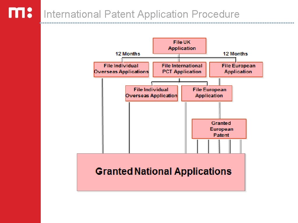 International Patent Application Procedure 