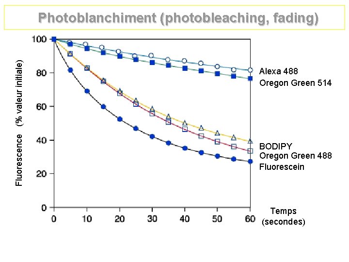 Fluorescence (% valeur initiale) Photoblanchiment (photobleaching, fading) Alexa 488 Oregon Green 514 BODIPY Oregon