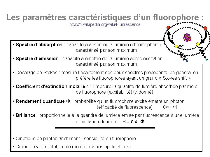 Les paramètres caractéristiques d’un fluorophore : http: //fr. wikipedia. org/wiki/Fluorescence • Spectre d’absorption :