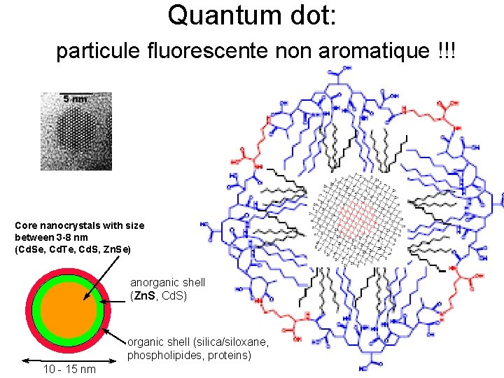 Quantum dot: particule fluorescente non aromatique !!! Core nanocrystals with size between 3 -8