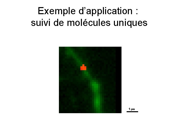 Exemple d’application : suivi de molécules uniques 1 μm 