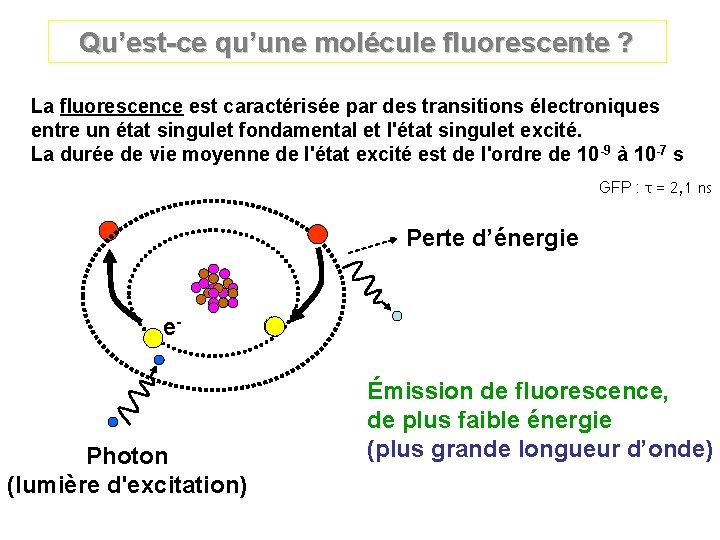 Qu’est-ce qu’une molécule fluorescente ? La fluorescence est caractérisée par des transitions électroniques entre