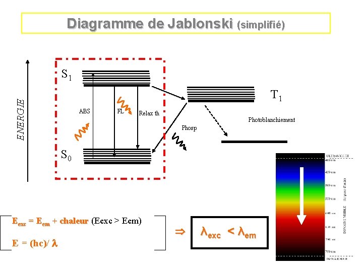 Diagramme de Jablonski (simplifié) S 1 ENERGIE T 1 ABS FL Relax th Photoblanchiement