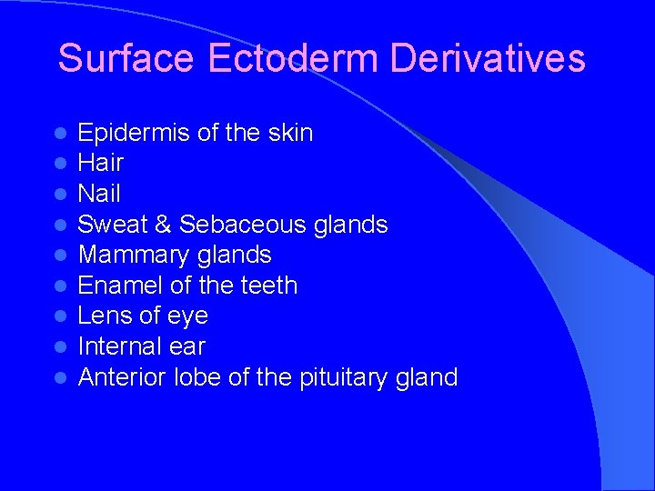 Surface Ectoderm Derivatives l l l l l Epidermis of the skin Hair Nail