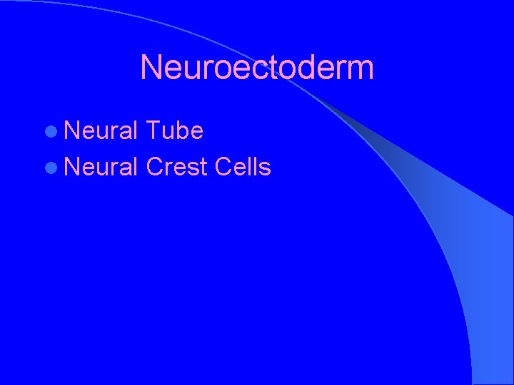 Neuroectoderm l Neural Tube l Neural Crest Cells 