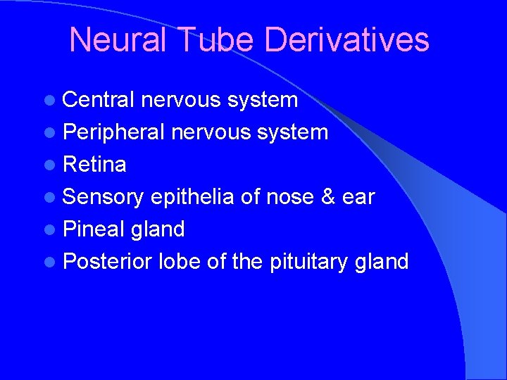 Neural Tube Derivatives l Central nervous system l Peripheral nervous system l Retina l