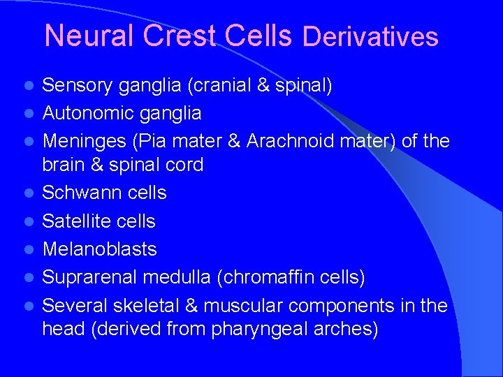 Neural Crest Cells Derivatives l l l l Sensory ganglia (cranial & spinal) Autonomic