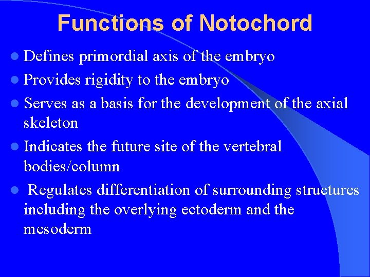 Functions of Notochord l Defines primordial axis of the embryo l Provides rigidity to