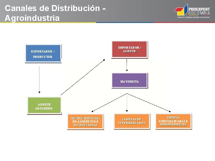 Canales de Distribución Agroindustria IMPORTADOR / AGENTE EXPORTADOR / PRODUCTOR MAYORISTA AGENTE ADUANERO SECTRO