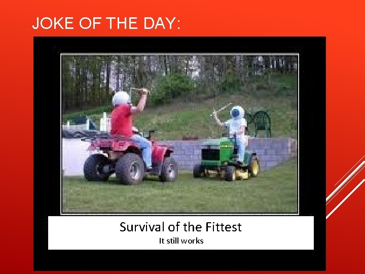 JOKE OF THE DAY: Survival of the Fittest It still works 