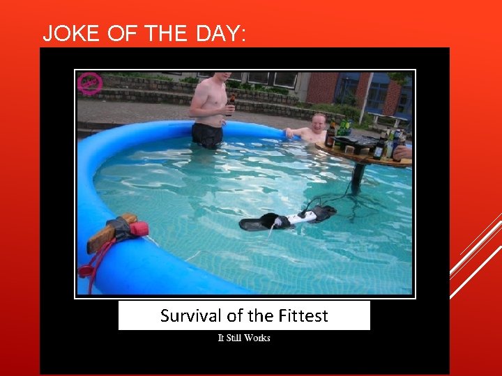 JOKE OF THE DAY: Survival of the Fittest 