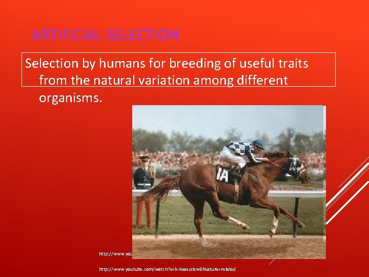 ARTIFICIAL SELECTION Selection by humans for breeding of useful traits from the natural variation