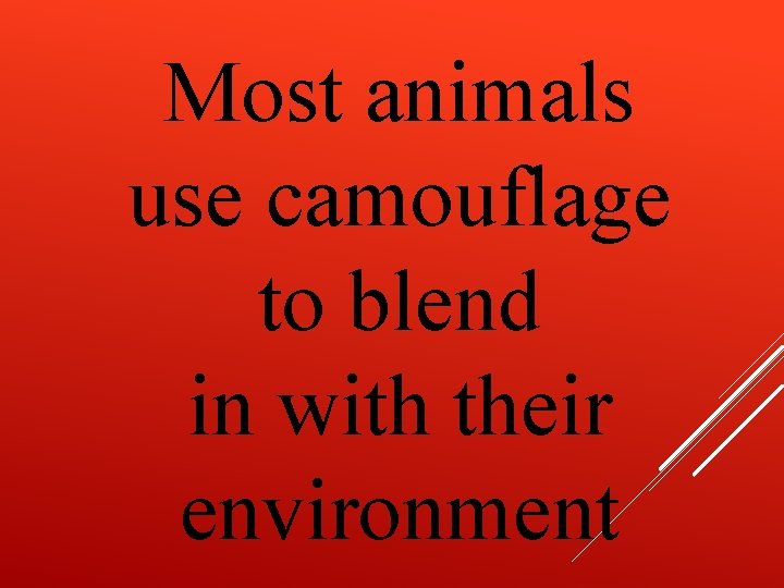 Most animals use camouflage to blend in with their environment 