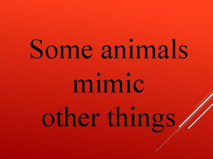 Some animals mimic other things 