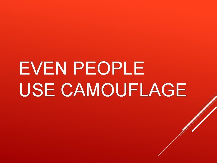 EVEN PEOPLE USE CAMOUFLAGE 