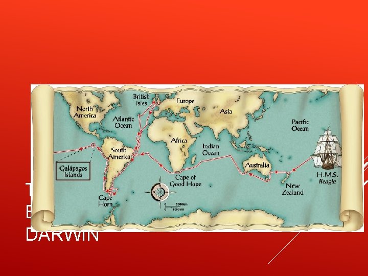 THE VOYAGE OF THE H. M. S BEAGLE AND CHARLES DARWIN 