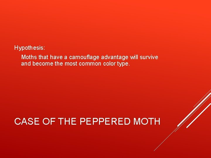 Hypothesis: Moths that have a camouflage advantage will survive and become the most common