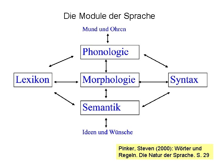 Die Module der Sprache Pinker, Steven (2000): Wörter und Regeln. Die Natur der Sprache.