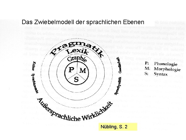 Das Zwiebelmodell der sprachlichen Ebenen Nübling, S. 2 