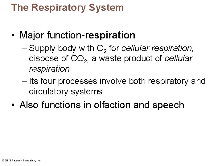 The Respiratory System • Major function-respiration – Supply body with O 2 for cellular