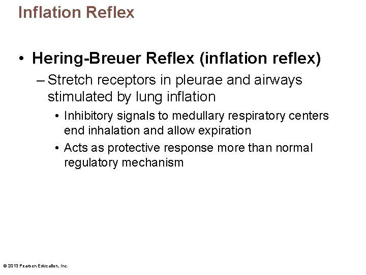 Inflation Reflex • Hering-Breuer Reflex (inflation reflex) – Stretch receptors in pleurae and airways