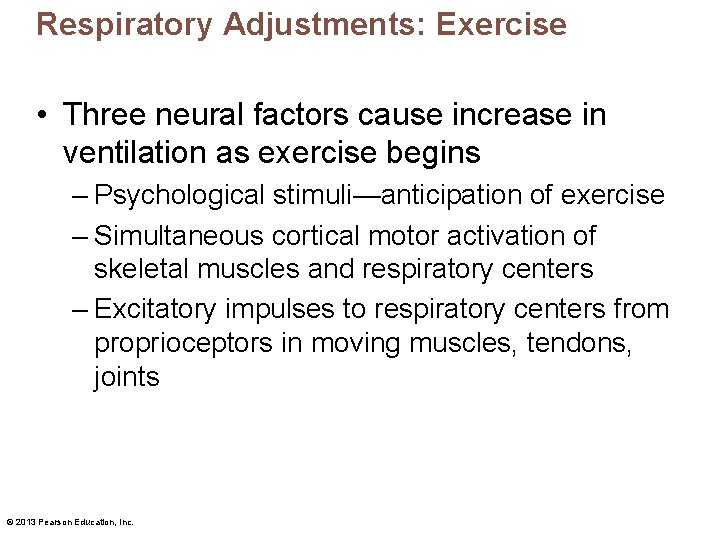 Respiratory Adjustments: Exercise • Three neural factors cause increase in ventilation as exercise begins