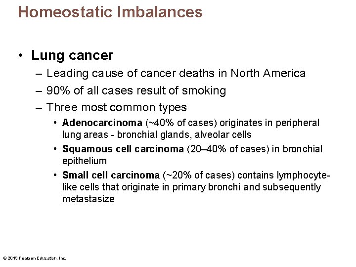 Homeostatic Imbalances • Lung cancer – Leading cause of cancer deaths in North America
