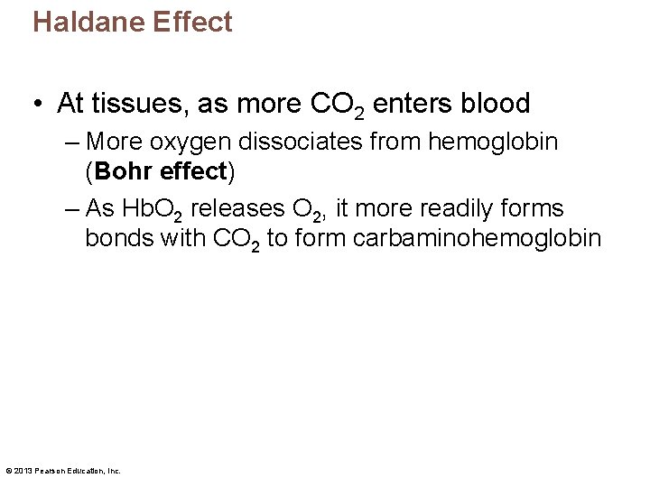 Haldane Effect • At tissues, as more CO 2 enters blood – More oxygen