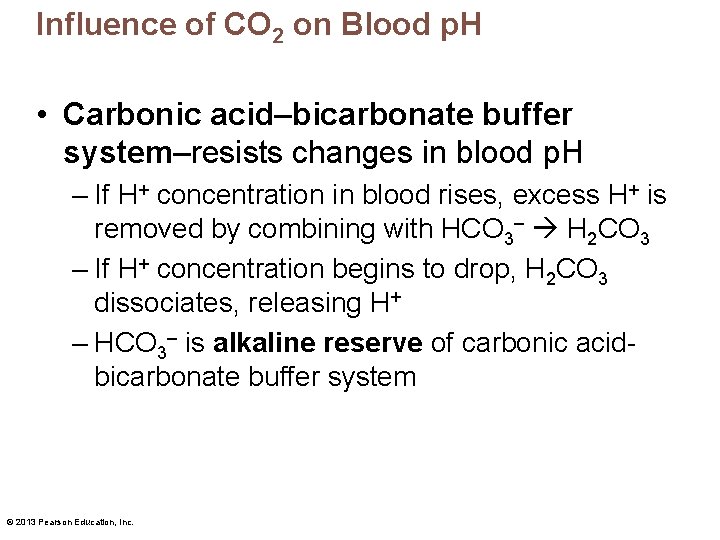 Influence of CO 2 on Blood p. H • Carbonic acid–bicarbonate buffer system–resists changes