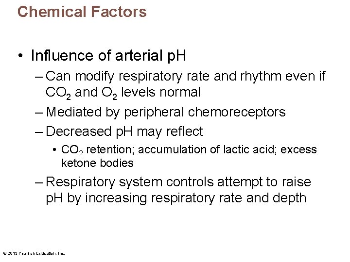 Chemical Factors • Influence of arterial p. H – Can modify respiratory rate and