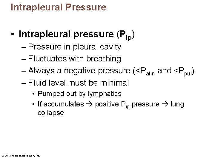 Intrapleural Pressure • Intrapleural pressure (Pip) – Pressure in pleural cavity – Fluctuates with