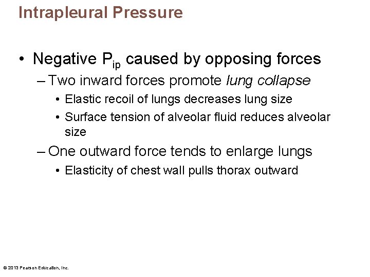 Intrapleural Pressure • Negative Pip caused by opposing forces – Two inward forces promote