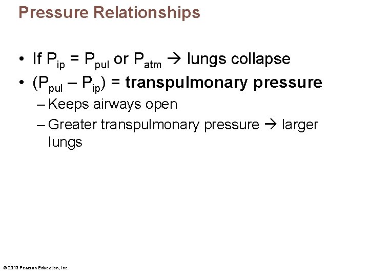 Pressure Relationships • If Pip = Ppul or Patm lungs collapse • (Ppul –