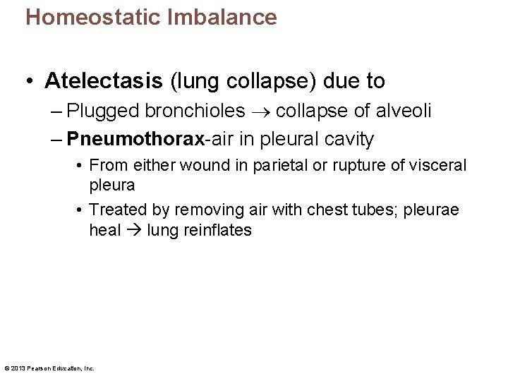 Homeostatic Imbalance • Atelectasis (lung collapse) due to – Plugged bronchioles collapse of alveoli