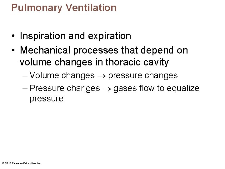 Pulmonary Ventilation • Inspiration and expiration • Mechanical processes that depend on volume changes